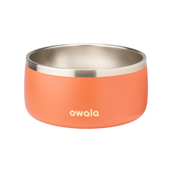 Pet Bowl